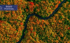 Boards in a Darwinistic age - Global Board Survey 2024 Boards in a Darwinistic age - Global Board Survey 2024